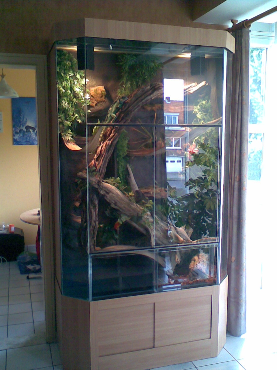 Terrarium kopen Uw terrarium in alle maten